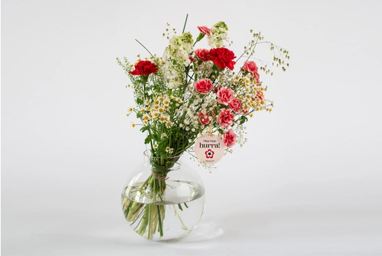 Super-Complex-Picture-Editing_Before